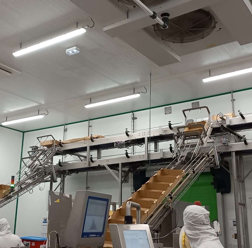 EQUIPEMENT DE FIN DE LIGNE DE CONDITIONNEMENT POISSONNERIE MG TECH