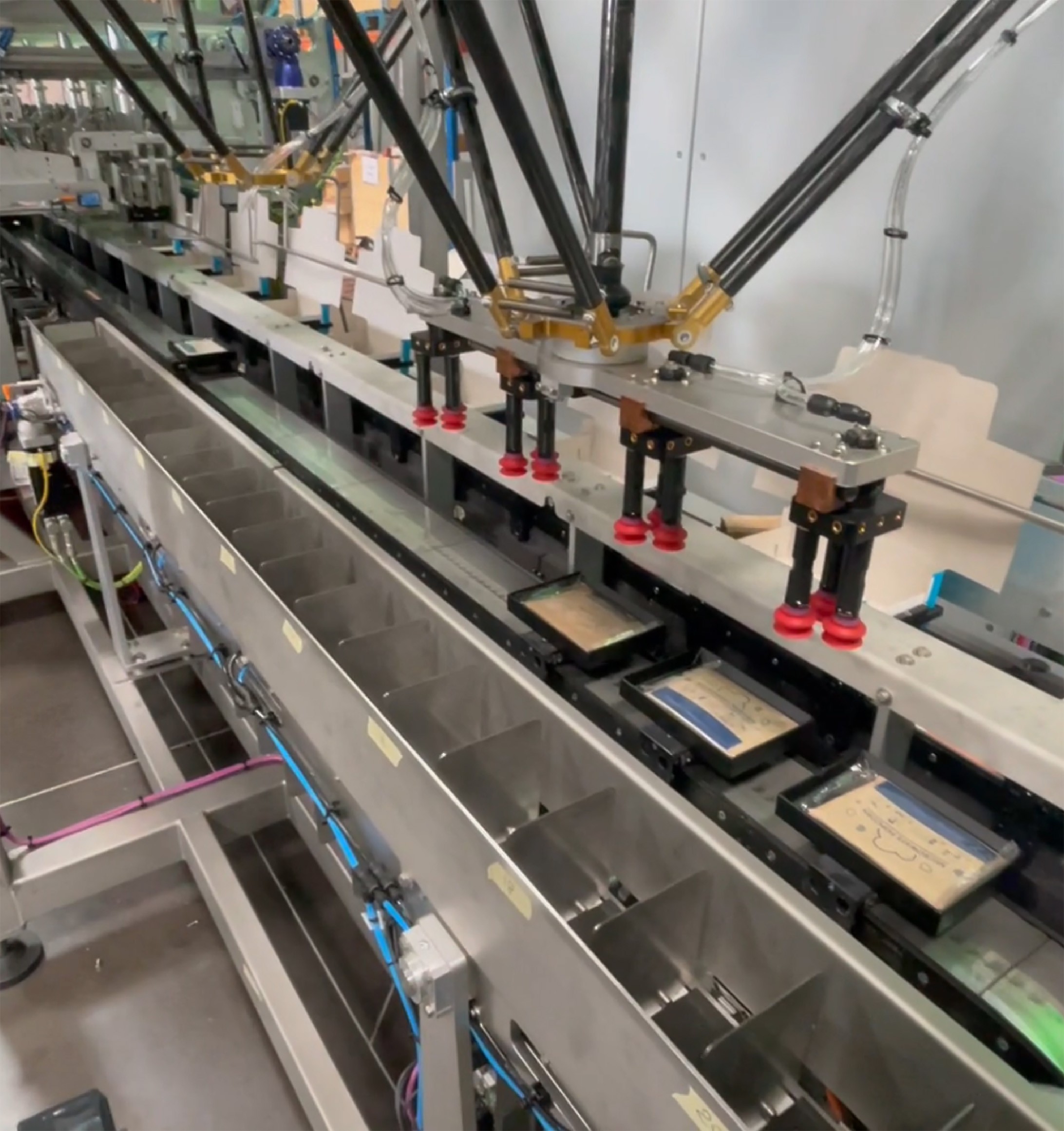 MG TECH CARTONING MACHINE FOR SWEET GROCERY INDUSTRY