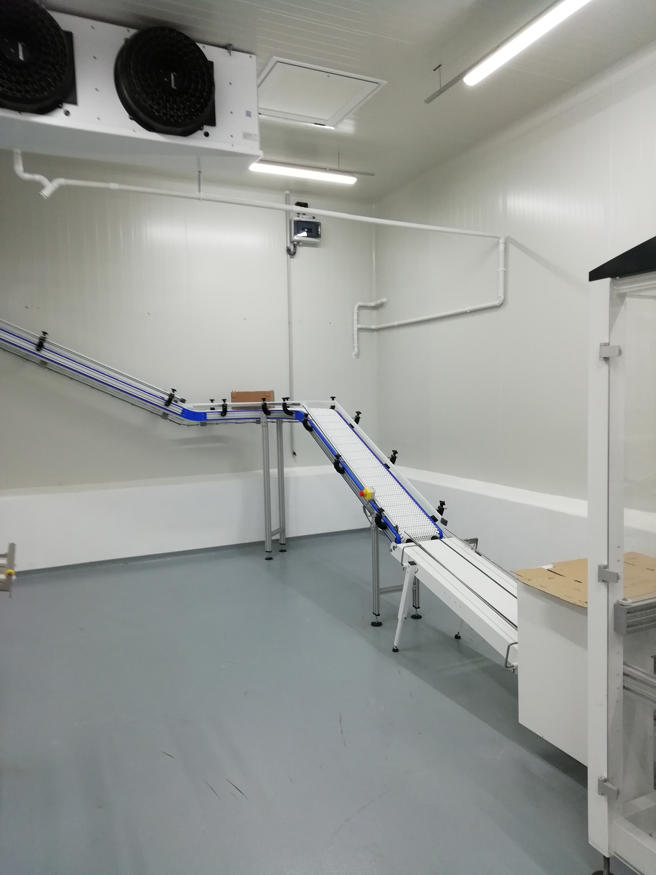 MG TECH FRUITS & VEGETABLES CASE CONVEYOR