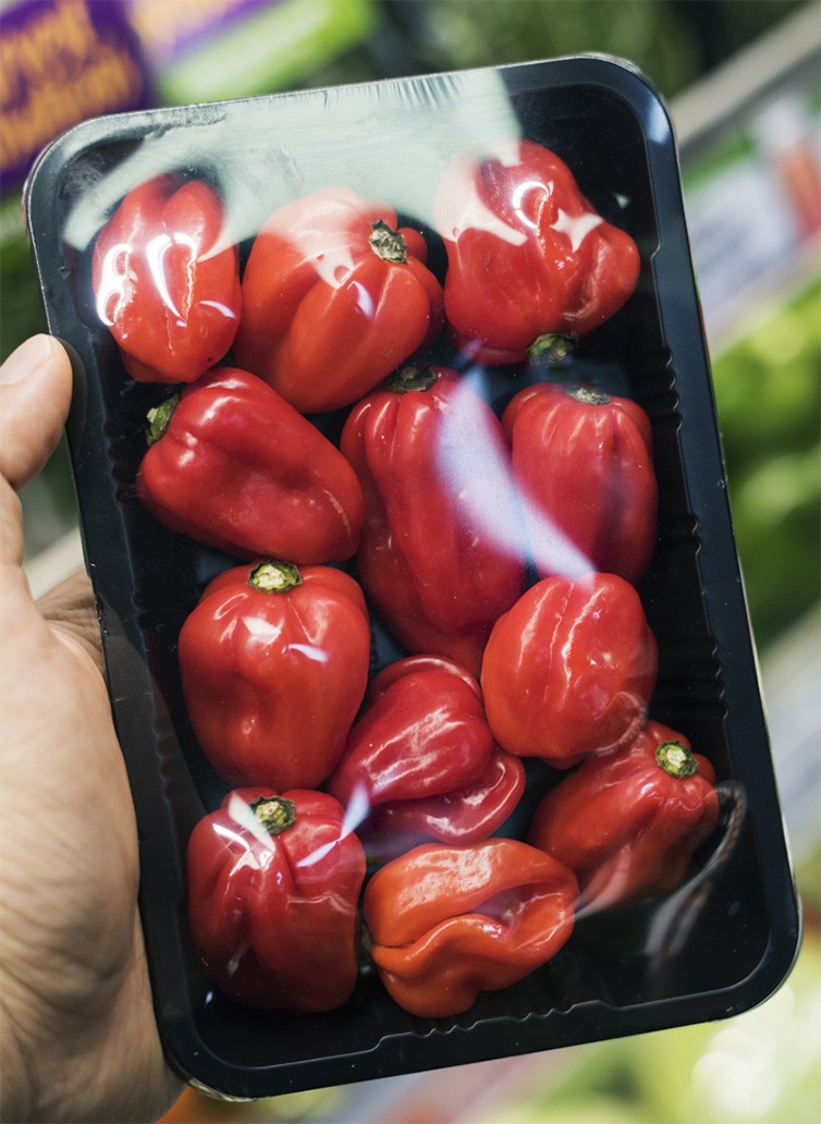 MG TECH PACKAGING MACHINES FOR FRUITS & VEGETABLES