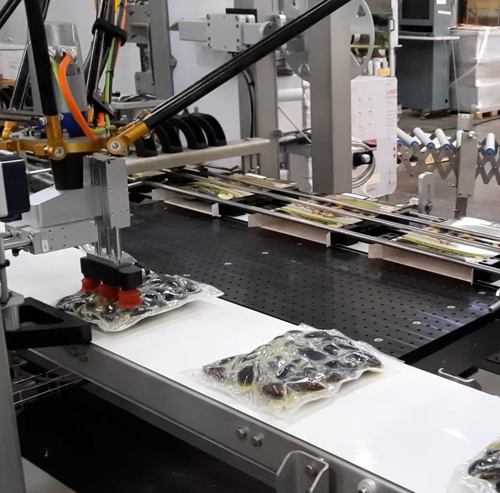 MG TECH SEAFOOD PRODUCTS CARTONING MACHINE