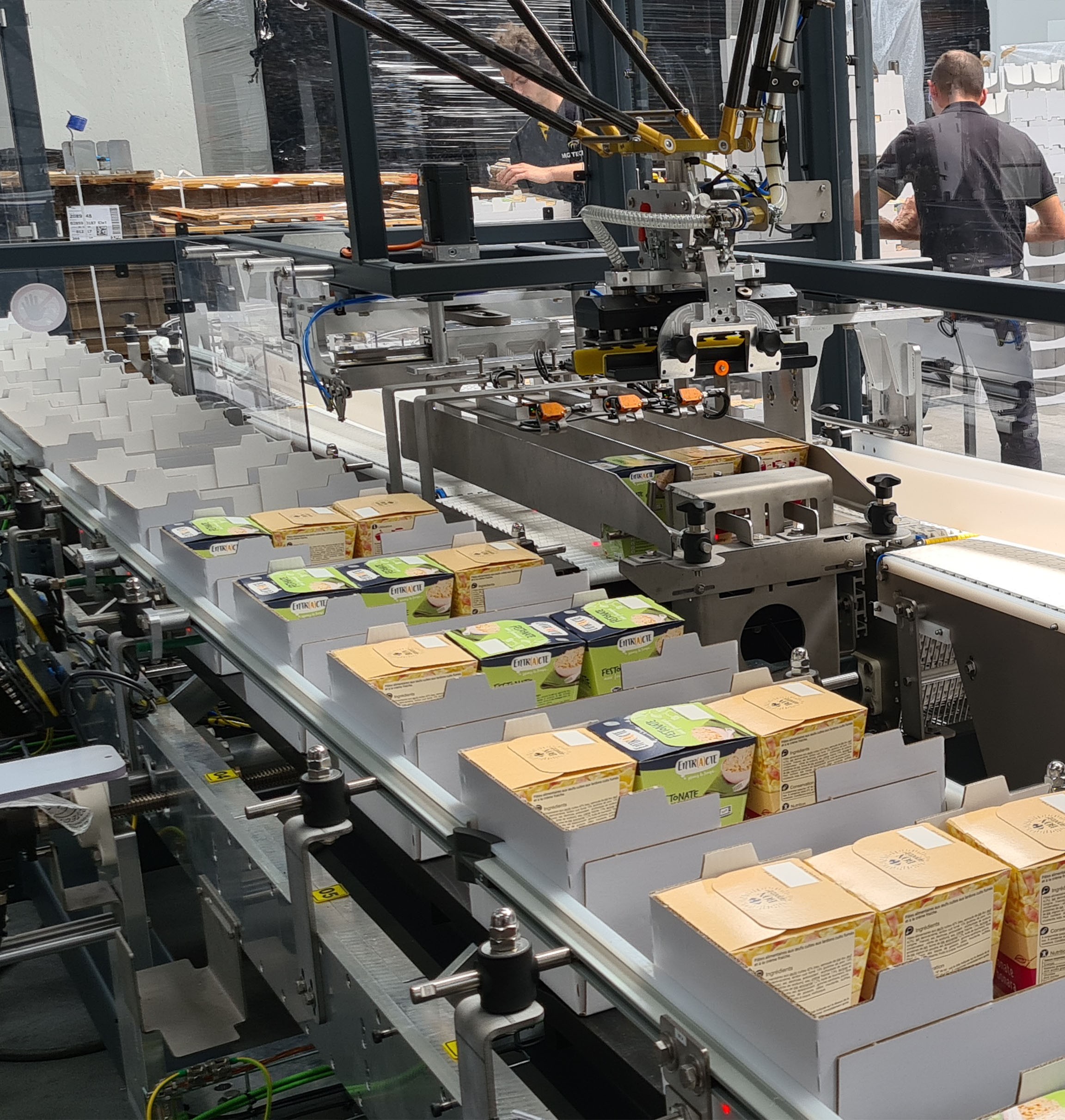 Encaisseuse top load PM-TL100 MG Tech