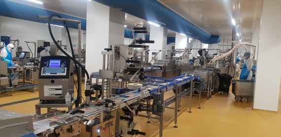 Machines de conditionnement MG Tech pour le secteur agroalimentaire